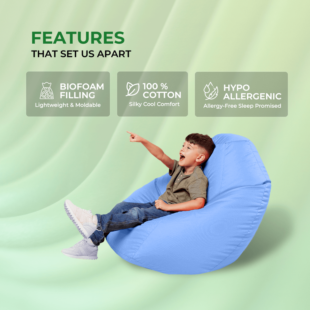 Bean Bag (BioFoam Filling)