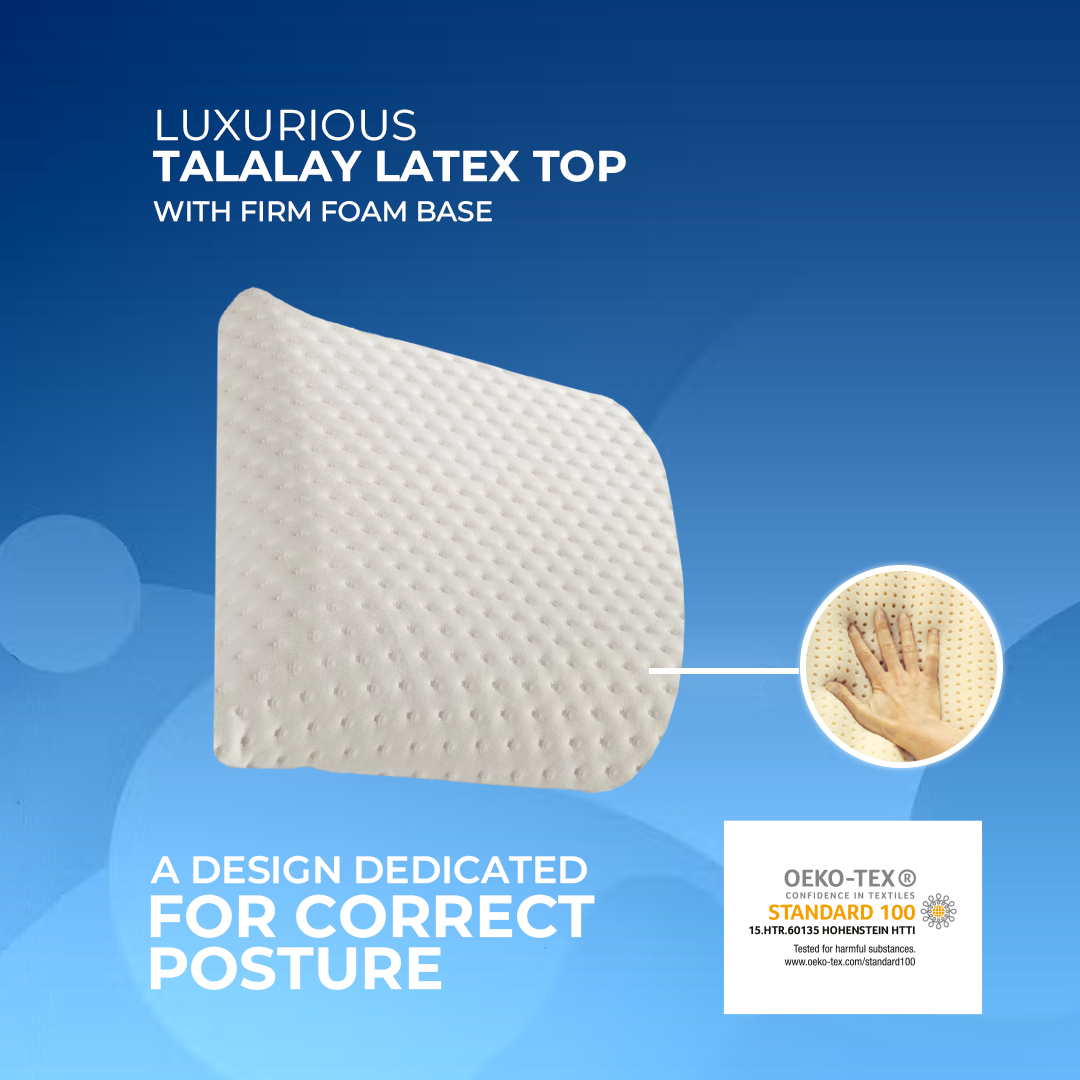 Thomsen Lumbar Pillow